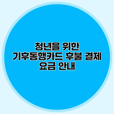 청년을 위한 기후동행카드 후불 결제 요금 안내
