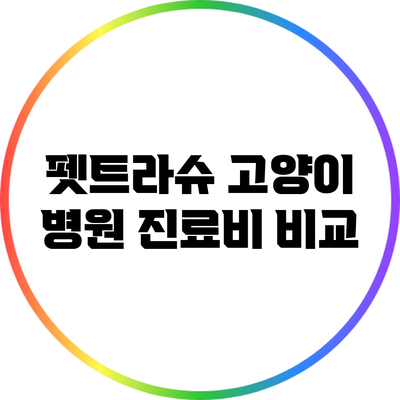 펫트라슈 고양이 병원 진료비 비교