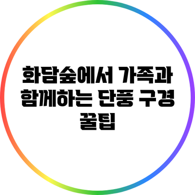 화담숲에서 가족과 함께하는 단풍 구경 꿀팁