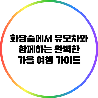 화담숲에서 유모차와 함께하는 완벽한 가을 여행 가이드
