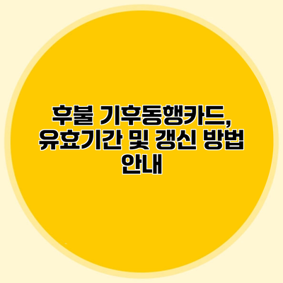 후불 기후동행카드, 유효기간 및 갱신 방법 안내