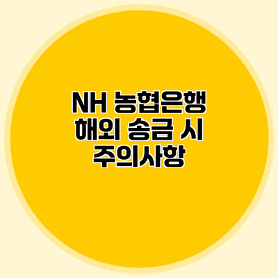 NH 농협은행 해외 송금 시 주의사항
