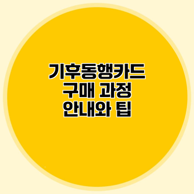 기후동행카드 구매 과정 안내와 팁