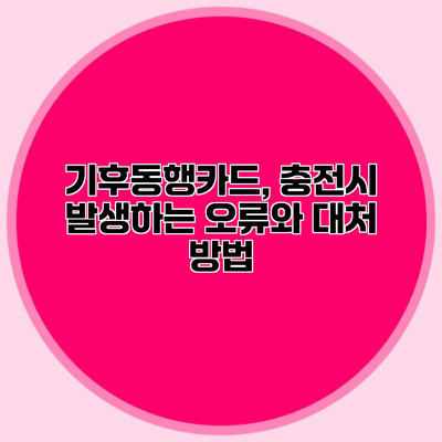 기후동행카드, 충전시 발생하는 오류와 대처 방법