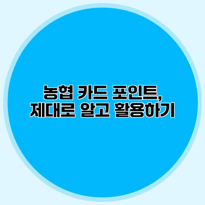 농협 카드 포인트, 제대로 알고 활용하기