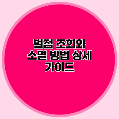 벌점 조회와 소멸 방법 상세 가이드