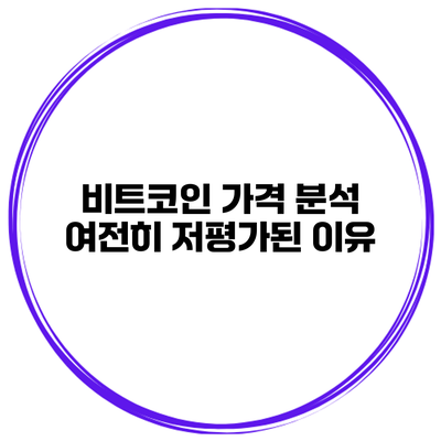 비트코인 가격 분석 여전히 저평가된 이유