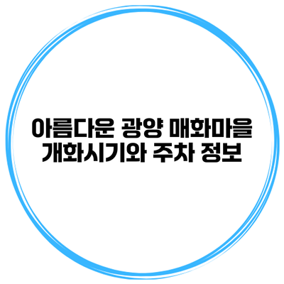 아름다운 광양 매화마을 개화시기와 주차 정보