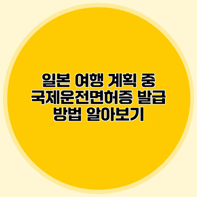 일본 여행 계획 중? 국제운전면허증 발급 방법 알아보기