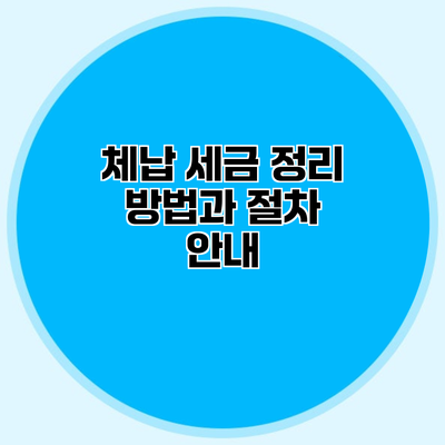 체납 세금 정리 방법과 절차 안내