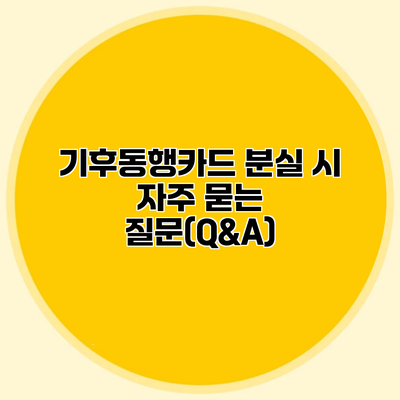 기후동행카드 분실 시 자주 묻는 질문(Q&A)