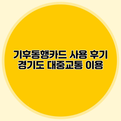 기후동행카드 사용 후기 경기도 대중교통 이용