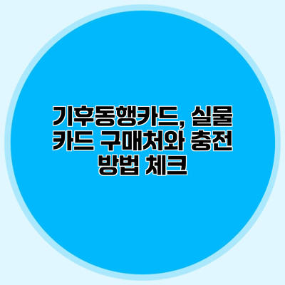 기후동행카드, 실물 카드 구매처와 충전 방법 체크