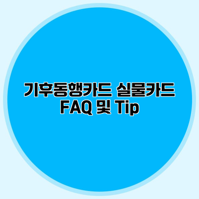 기후동행카드 실물카드 FAQ 및 Tip