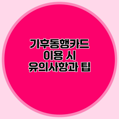 기후동행카드 이용 시 유의사항과 팁