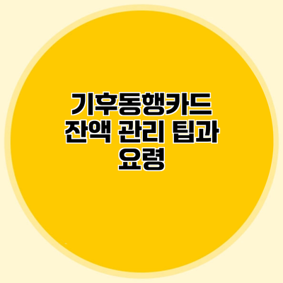 기후동행카드 잔액 관리 팁과 요령