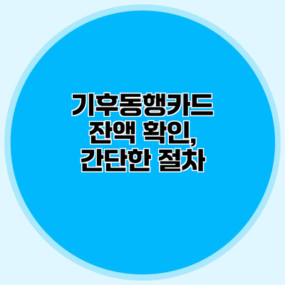기후동행카드 잔액 확인, 간단한 절차