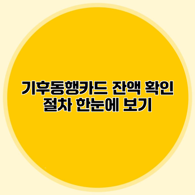 기후동행카드 잔액 확인 절차 한눈에 보기