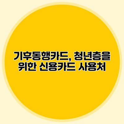 기후동행카드, 청년층을 위한 신용카드 사용처