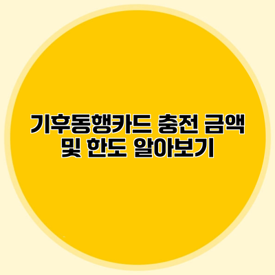 기후동행카드 충전 금액 및 한도 알아보기