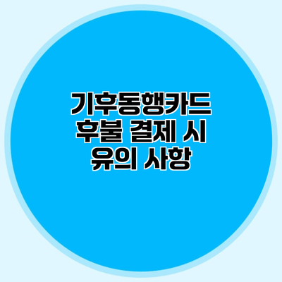 기후동행카드 후불 결제 시 유의 사항