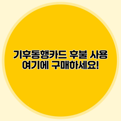 기후동행카드 후불 사용 여기에 구매하세요!