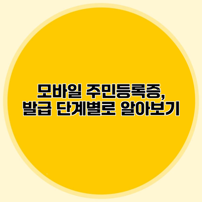 모바일 주민등록증, 발급 단계별로 알아보기