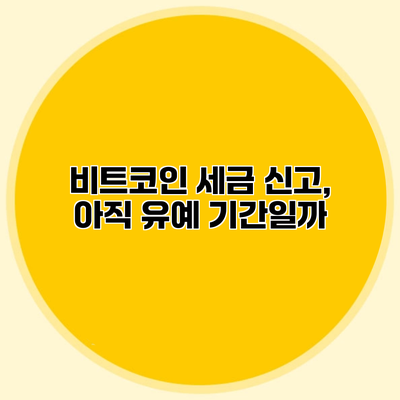 비트코인 세금 신고, 아직 유예 기간일까?