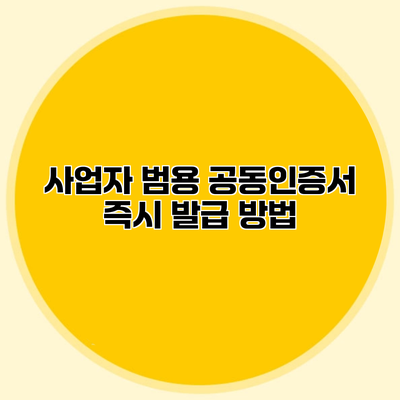 사업자 범용 공동인증서 즉시 발급 방법