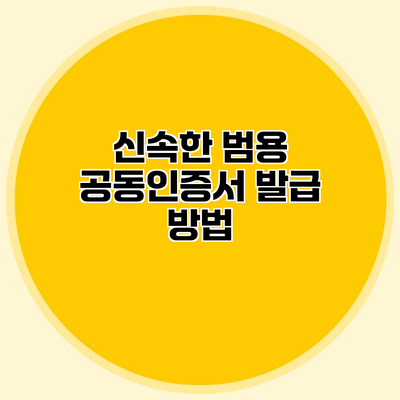 신속한 범용 공동인증서 발급 방법