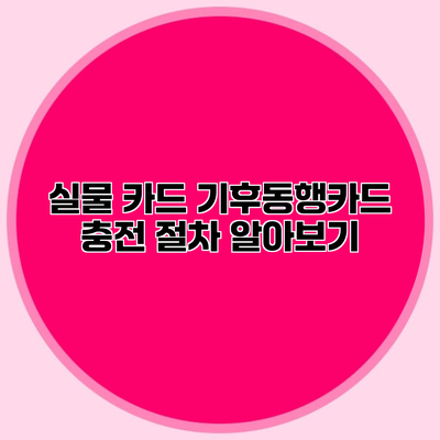 실물 카드 기후동행카드 충전 절차 알아보기