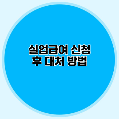 실업급여 신청 후 대처 방법