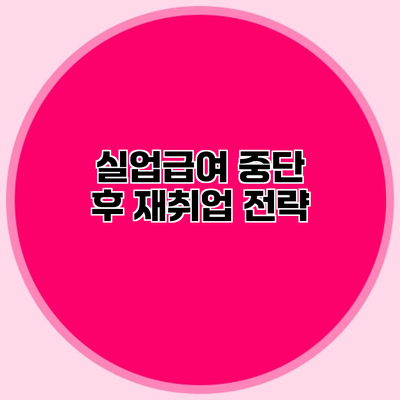 실업급여 중단 후 재취업 전략