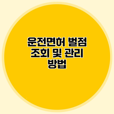 운전면허 벌점 조회 및 관리 방법