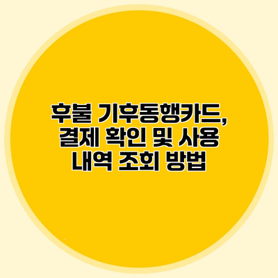 후불 기후동행카드, 결제 확인 및 사용 내역 조회 방법